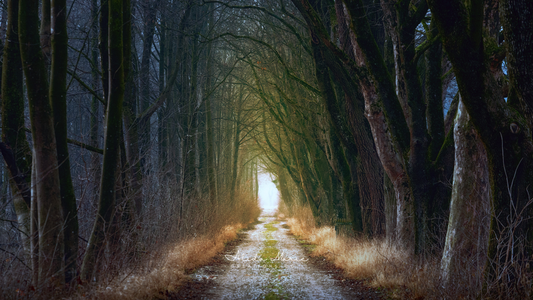 Pathways to Healing: Strategies and Resources for Overcoming Self-Harm
