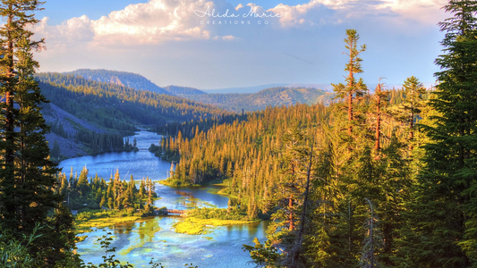 Nature’s Healing Touch: Exploring the Mental Wellness Benefits of the Great Outdoors